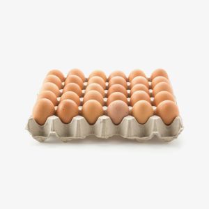 Chicken Eggs (Demo)