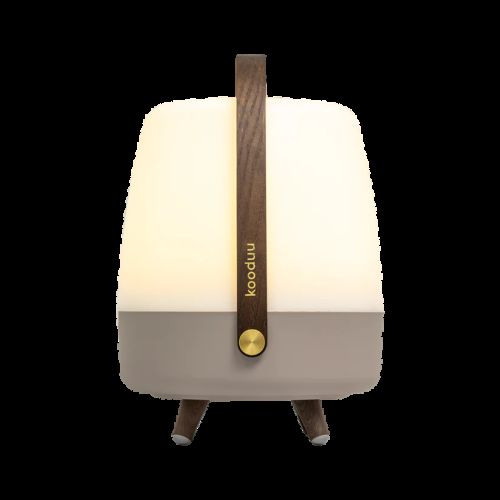 Kooduu Lite-up Play 2.0 Earth (JBL)